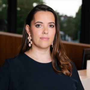 How Good Governance Can Keep Corporates Clean from Greenwashing